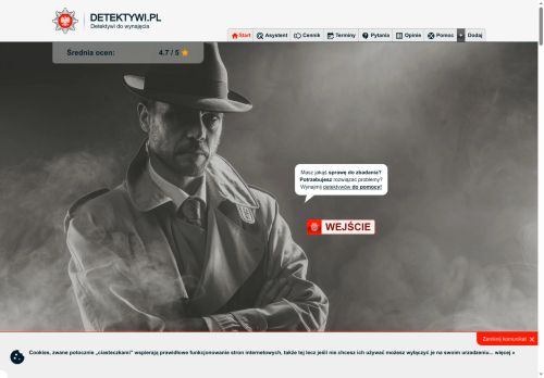 Usługi detektywistyczne co obejmują