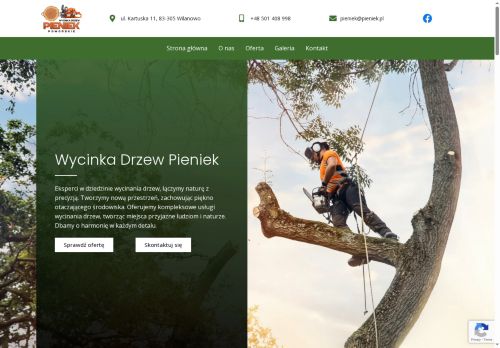 Alpinistyczna wycinka drzew