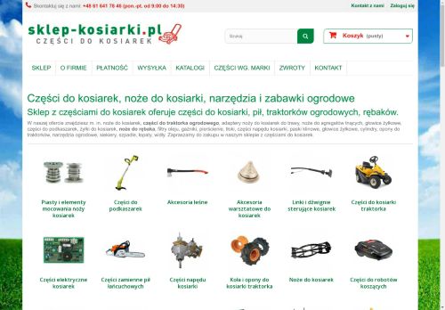 Briggs Stratton części zamienne